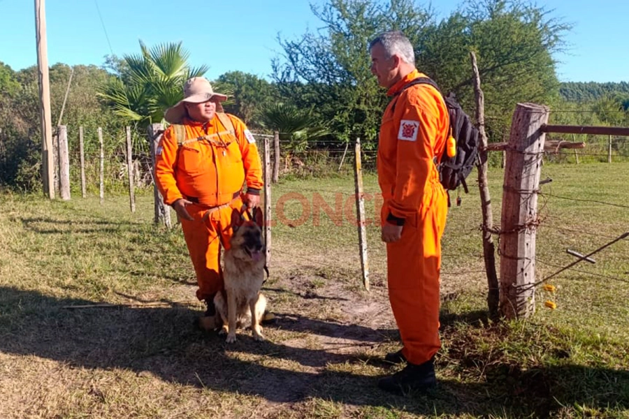 Drones, perros y efectivos de fuerzas de seguridad peinan la zona (foto Elonce)