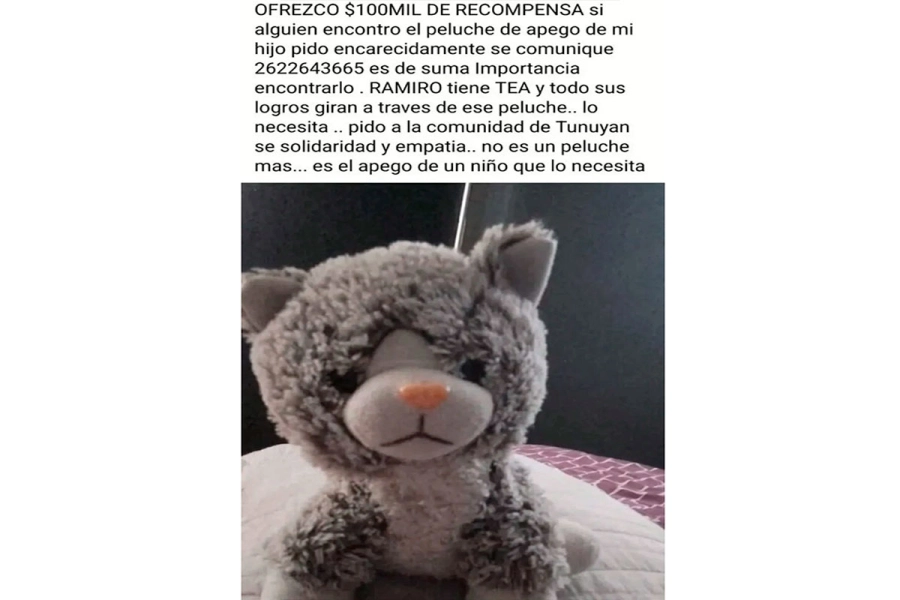 Pedido de recompensa por encontara al osito de peluche de su hijo con TEA. (8Digital)