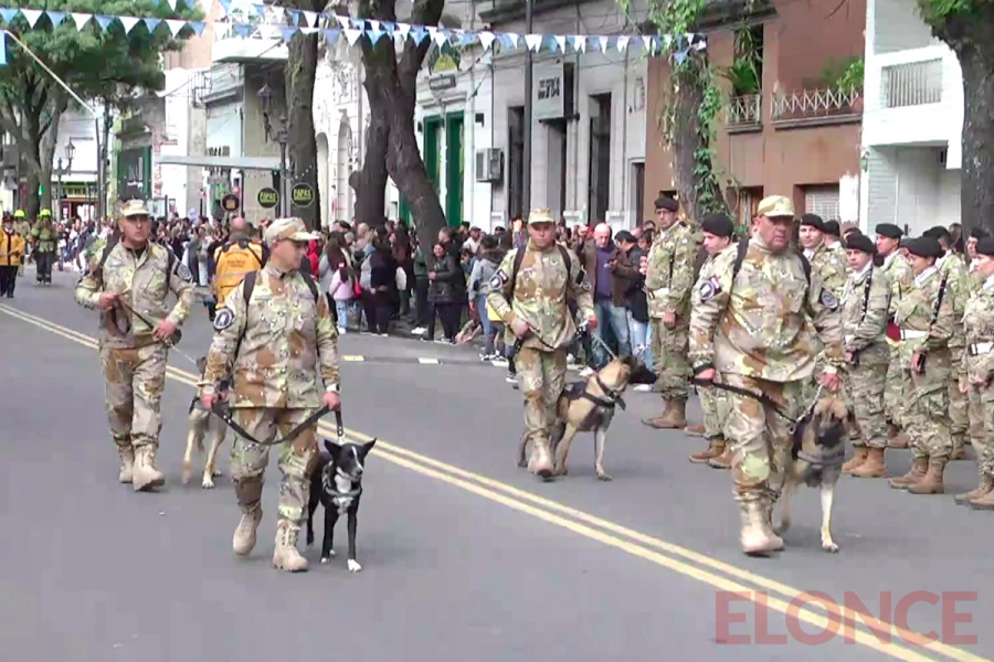 Desfile por el 25 de Mayo. Elonce
