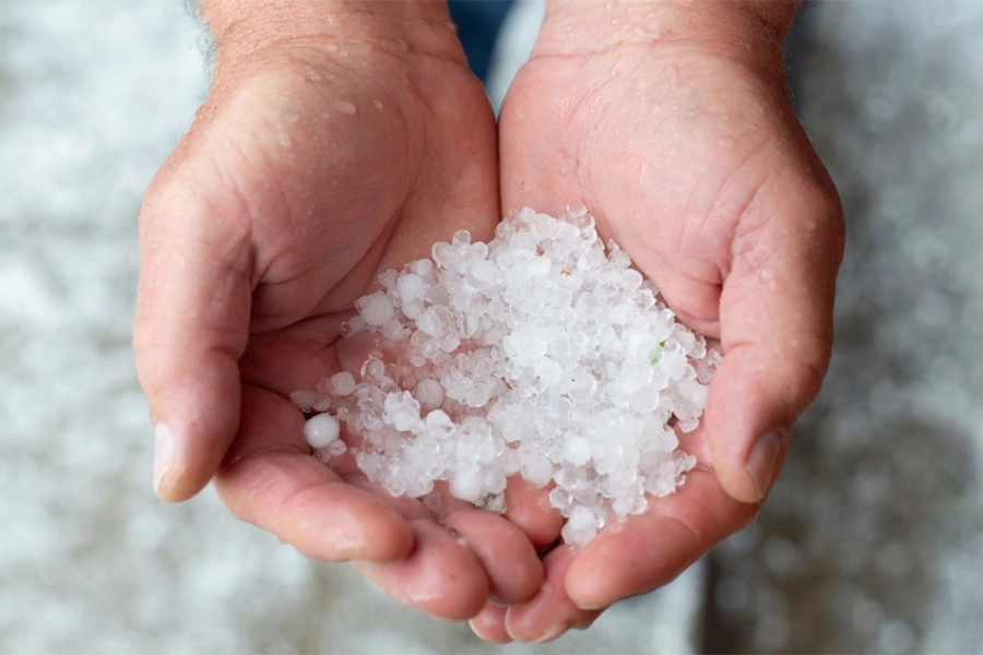 Graupel. Foto: Canal 26