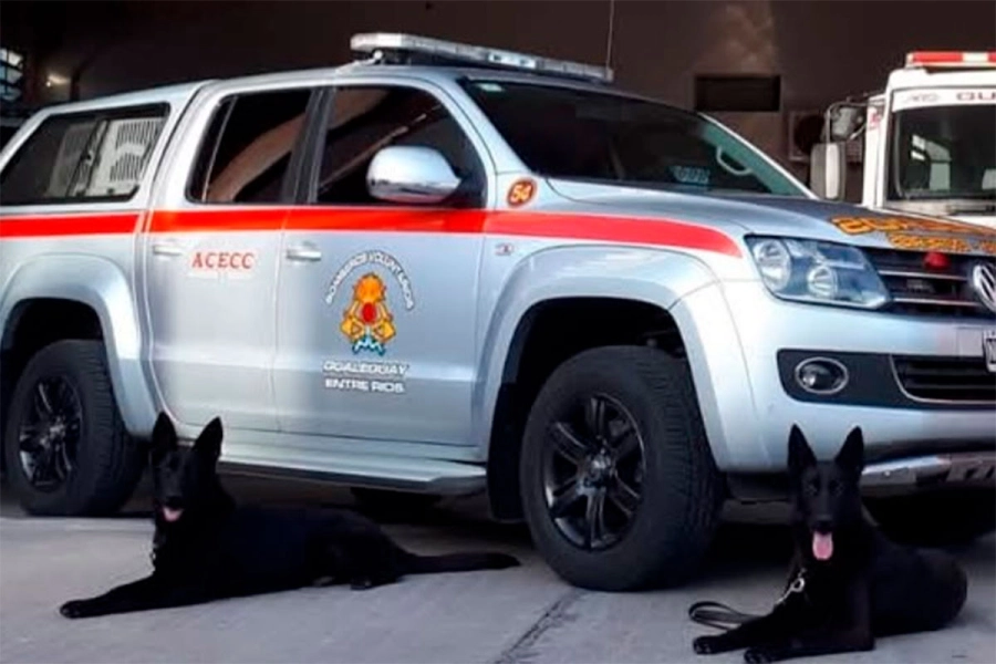 Muri&oacute; Olivia, una perra ovejera alem&aacute;n