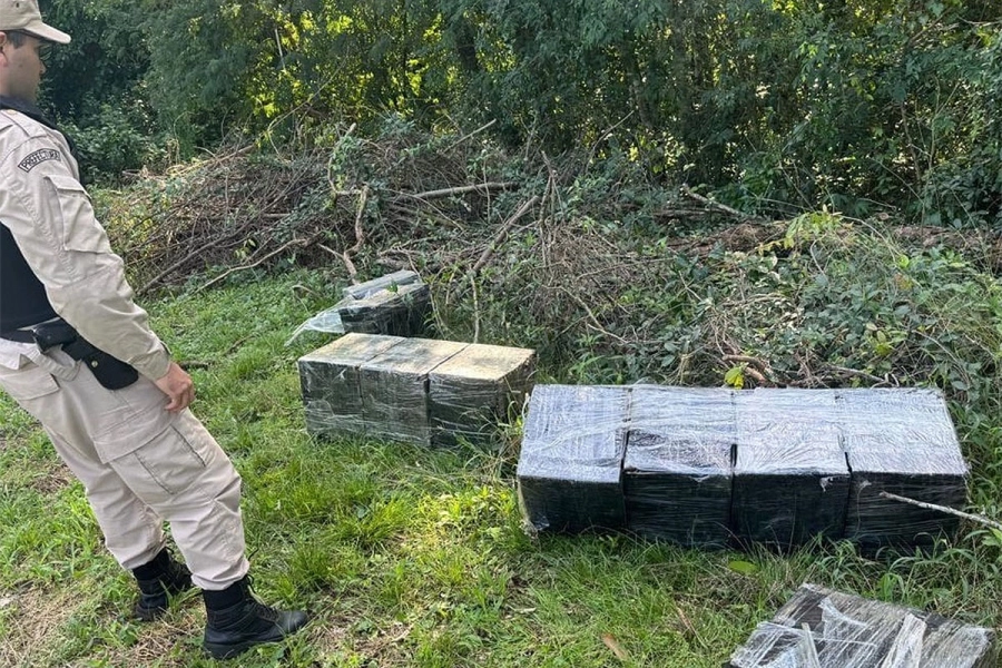 Marihuana incautada en Misiones. Prefectura