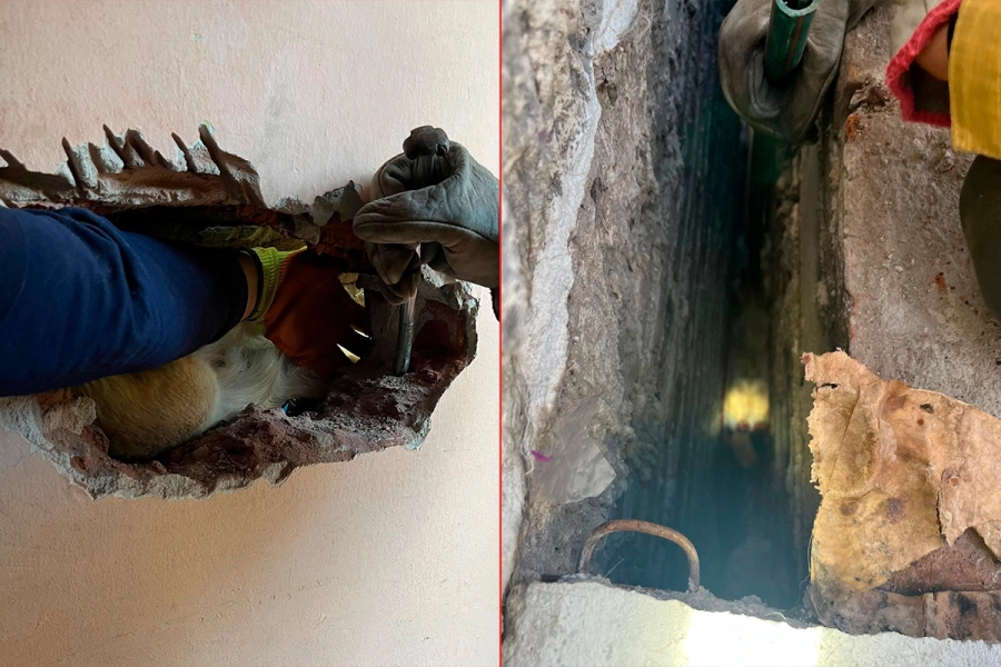Bomberos intervinieron para liberar a un perro en calle Cochrane (foto Bomberos Voluntarios Paraná)
