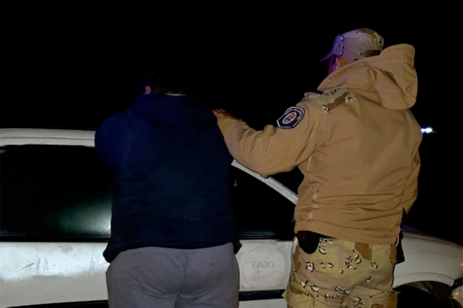 Robaron un ternero, lo faenaron y lo trasladaron en un auto