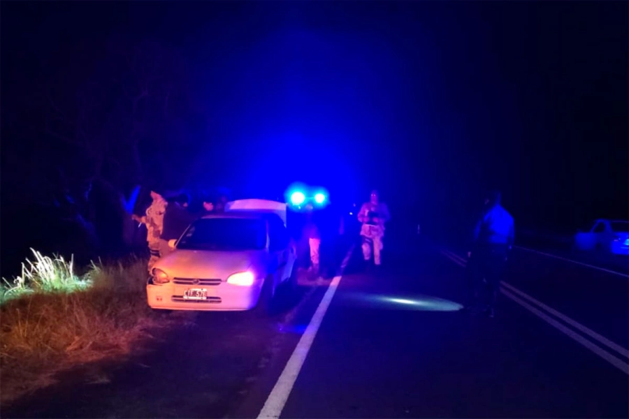 Robaron un ternero, lo faenaron y lo trasladaron en un auto