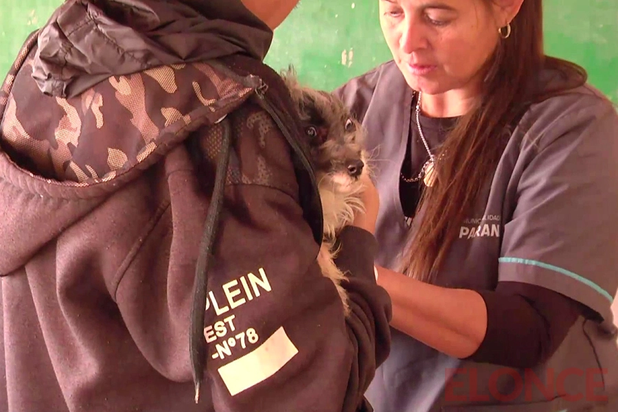 Alta demanda en jornadas de castraci&oacute;n y vacunaci&oacute;n de mascotas en Parque del Lago (foto Elonce)