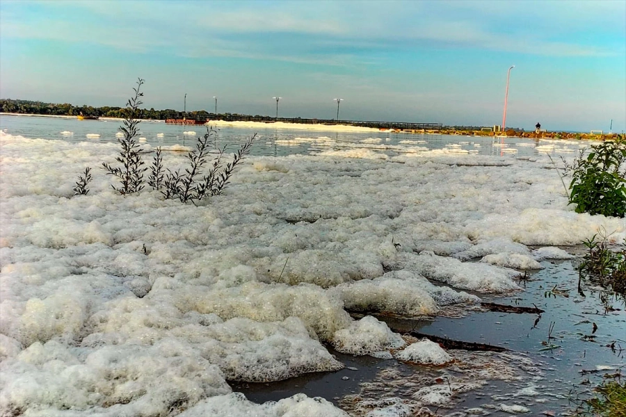 (Foto: Marcelo Gonz&aacute;lez).