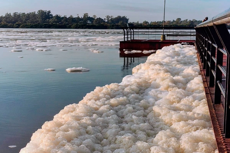 (Foto: Marcelo Gonz&aacute;lez).