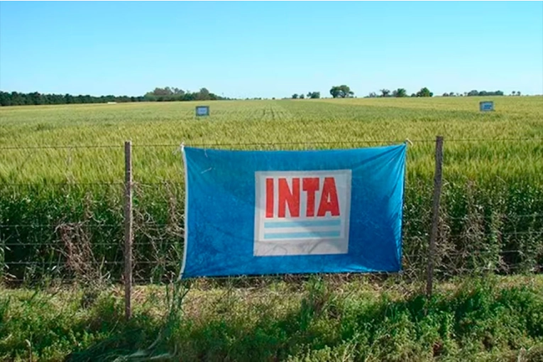 Directores del INTA alertaron por falta de fondos y trabas operativas: serias dificultades