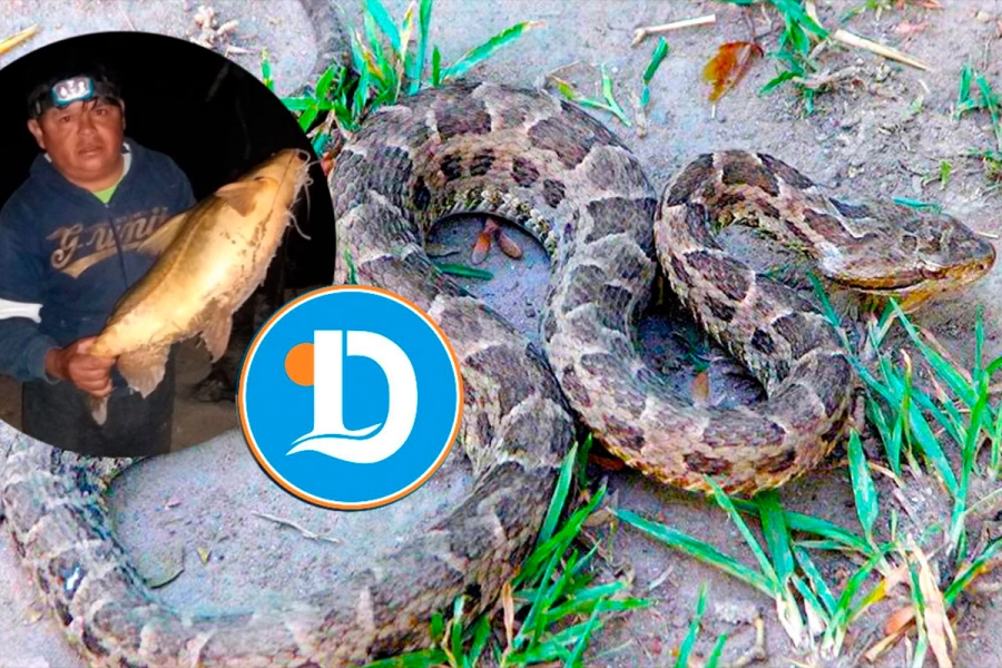 (Foto: La Dptal. Noticias)