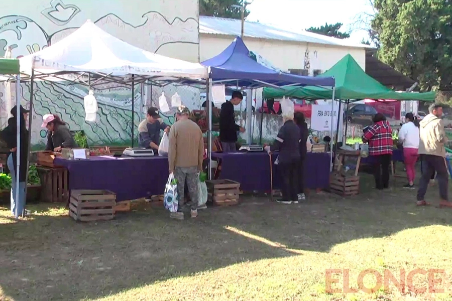 La feria en tu Barrio lleg&oacute; a Bajada Grande con productos frescos y precios bajos (foto Elonce)