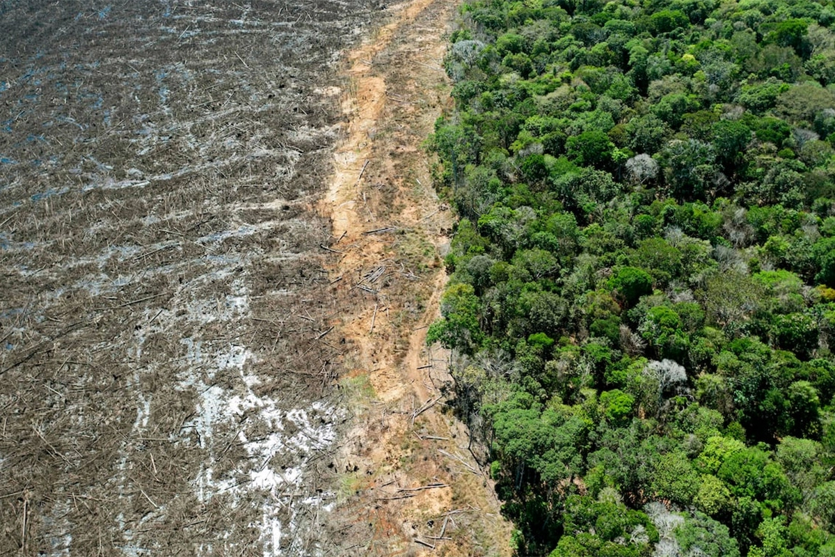 Amazonia, Brasil Amazonia, Brasil