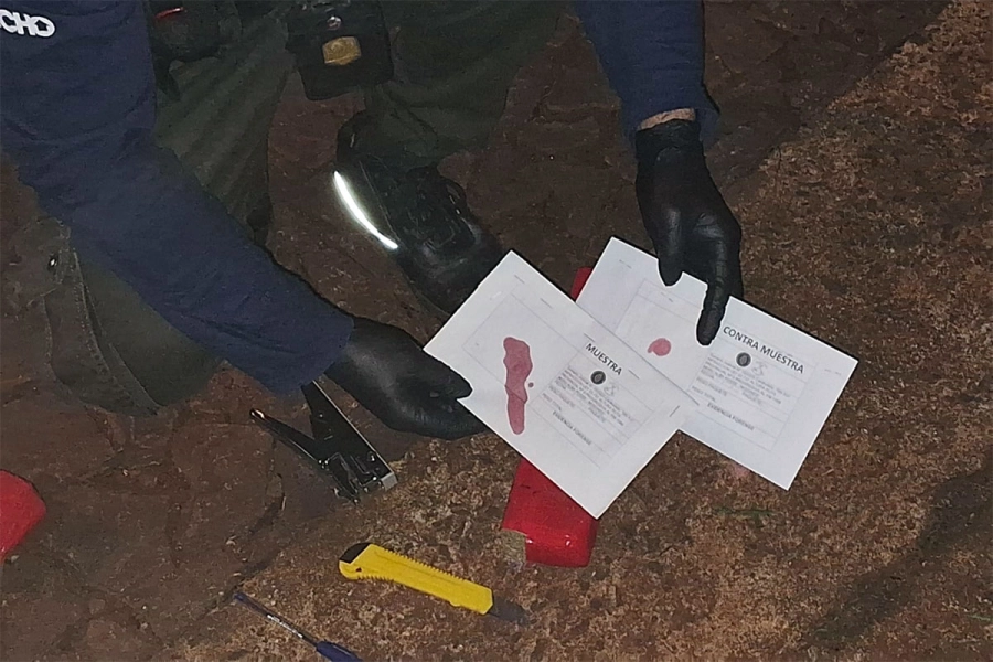 Marihuana incautada en Misiones. Foto: Prefectura