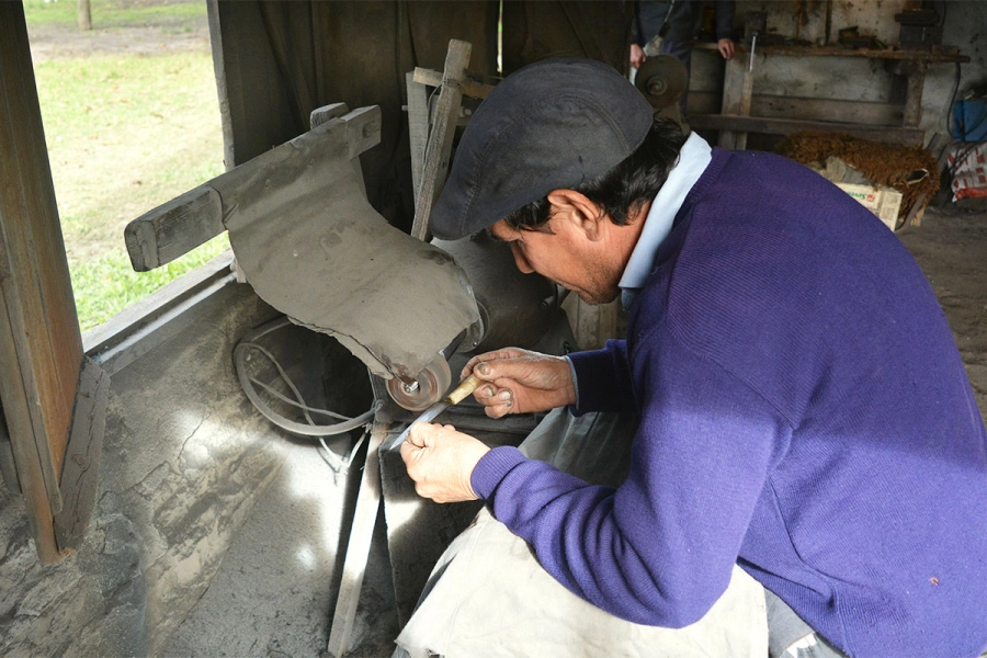 Desarrollo Humano fortalece la economía social