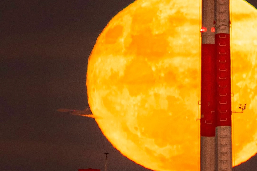 Desde Tigre Municipio. (Foto: @ap.ph.arg).