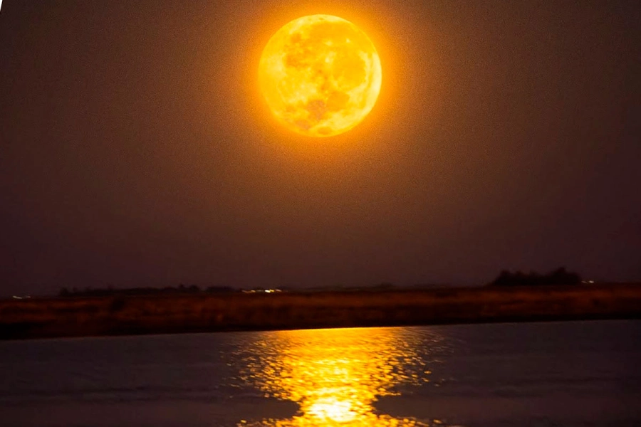 Desde Laguna El Hinojo, Venado Tuerto, Santa Fe. (Foto: @manu.agraso y @brunepalena)