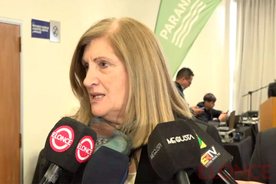 Intendenta Rosario Romero