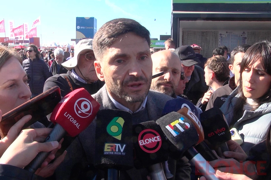 Maximiliano Pullaro<b>, </b>gobernador de Santa Fe (foto archivo Elonce)