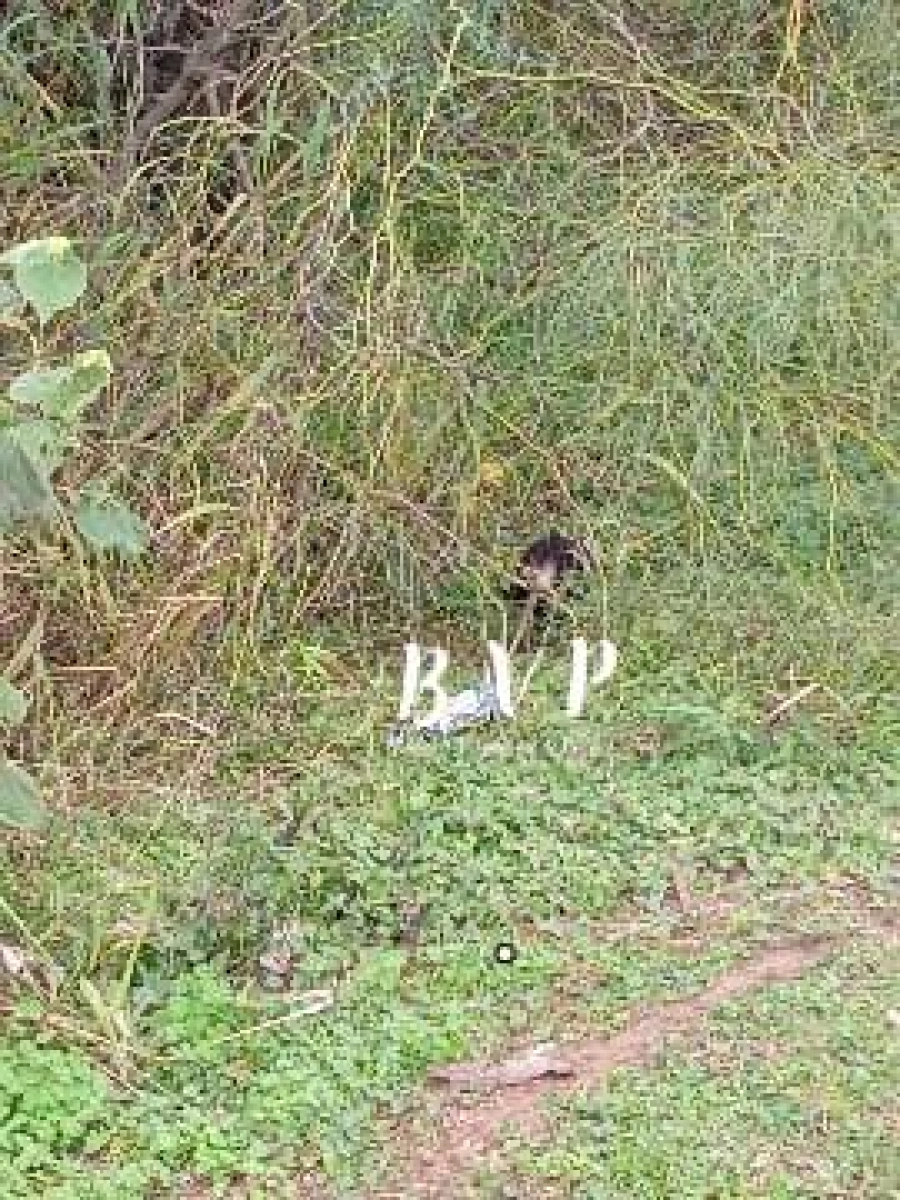 (foto Bomberos Voluntarios de Paran&aacute;)