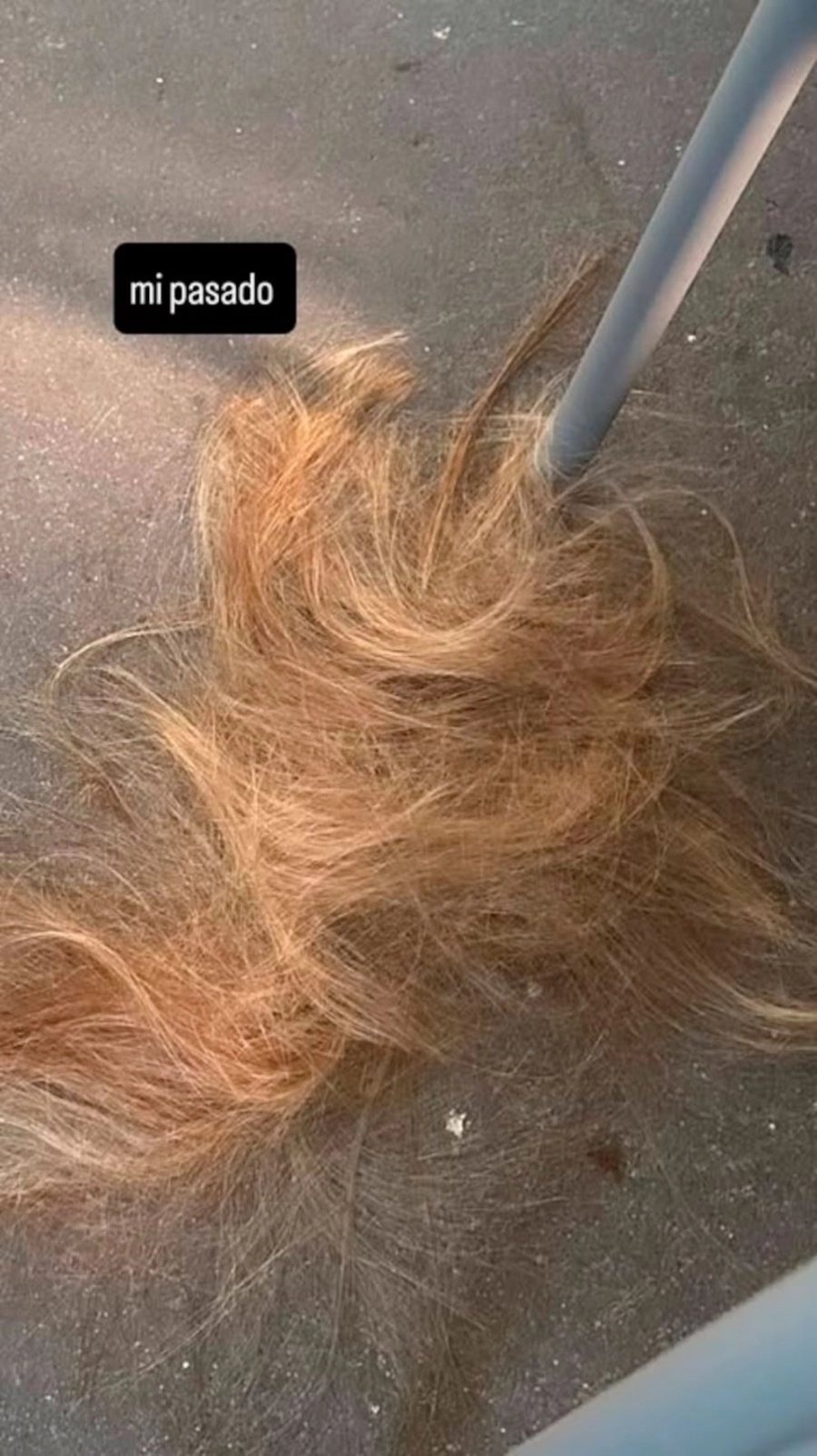 Guillermina Vald&eacute;s se cort&oacute; el cabello