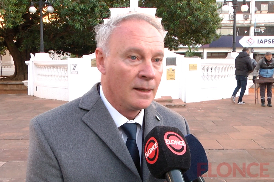 Dar&iacute;o Schneider. Elonce