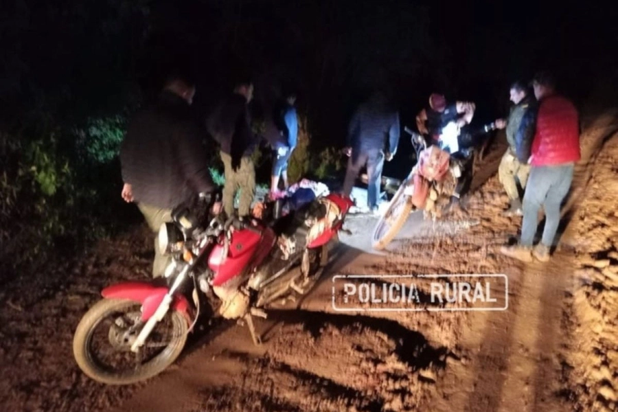 Demorados por cazar un ciervo de los pantanos. Policía de Corrientes
