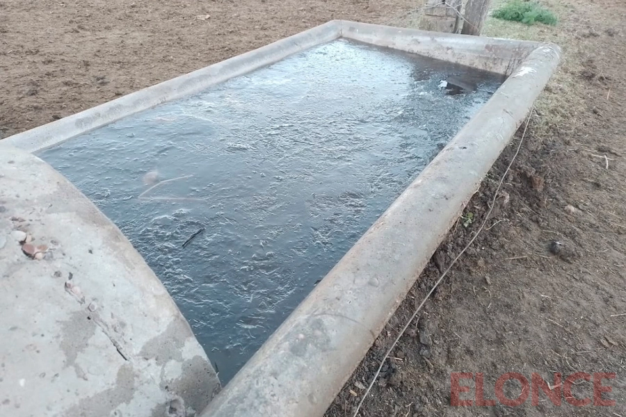 "Linda helada pero con el viento se ve poco" (foto Elonce)