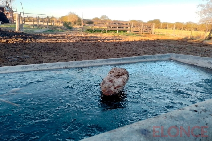 Batea congelada helada en la zona rural de Viale (foto Elonce)