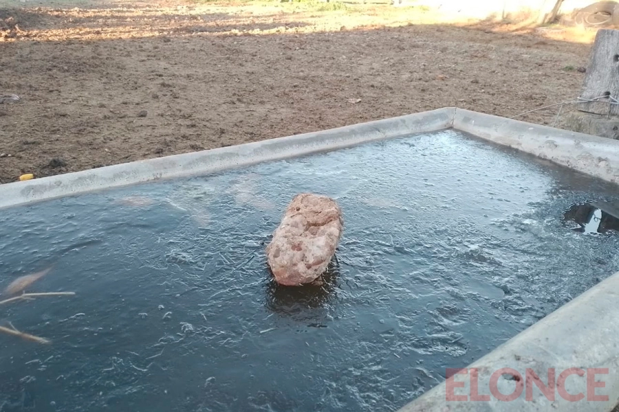 Batea congelada helada en la zona rural de Viale (foto Elonce)