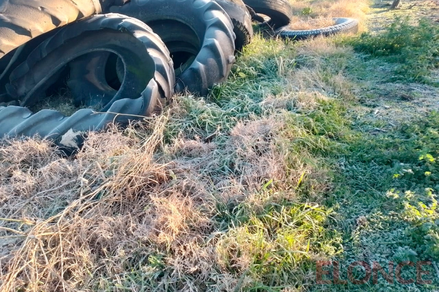 Helada en la zona rural de Viale (foto Elonce)