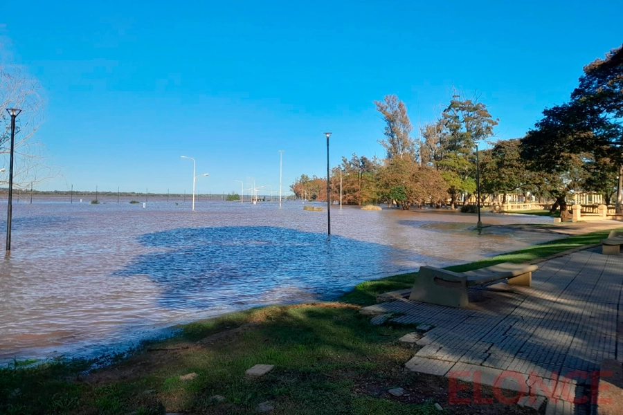 El r&iacute;o se mantiene estacionario en Concordia, pero el agua avanza (foto Elonce)