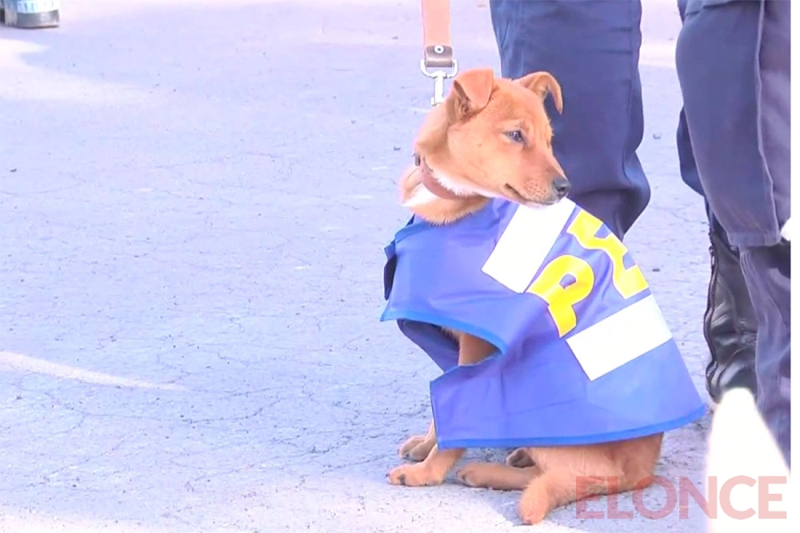 Capacitaron a nuevos binomios para fortalecer la prevenci&oacute;n del narcotr&aacute;fico en Entre R&iacute;os