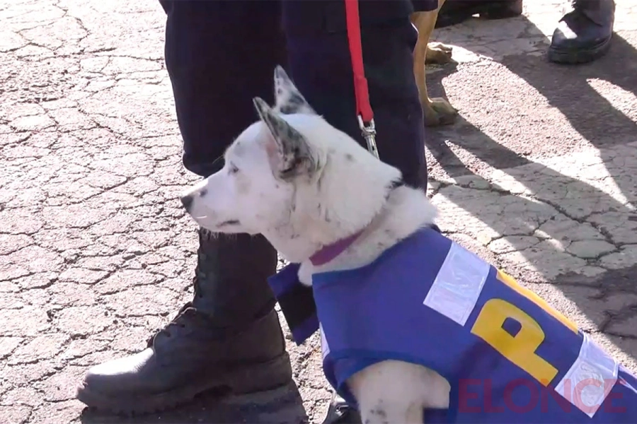 Capacitaron a nuevos binomios para fortalecer la prevenci&oacute;n del narcotr&aacute;fico en Entre R&iacute;os