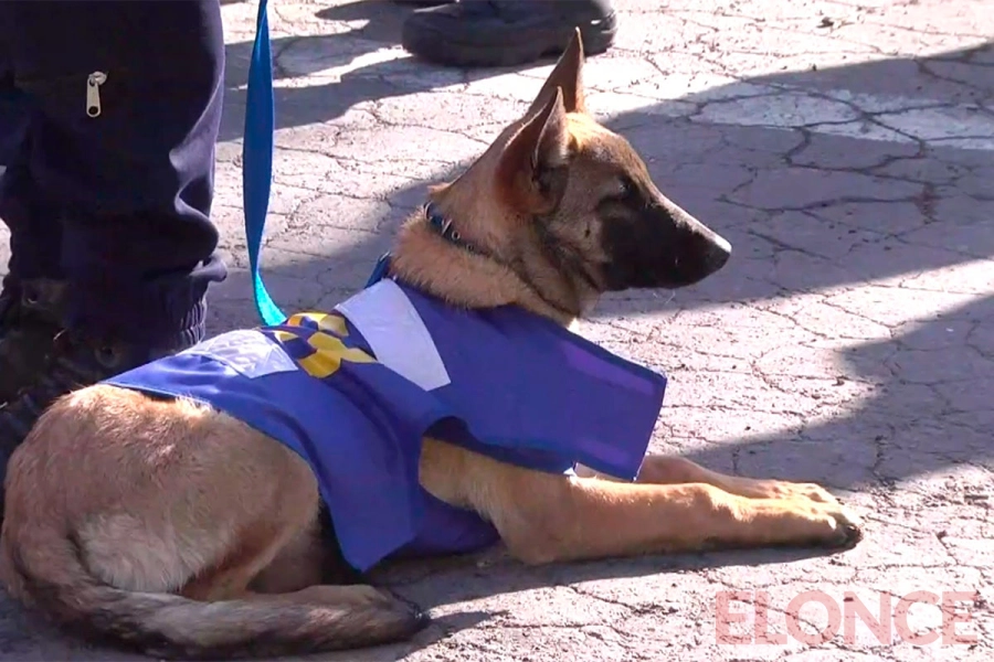 Capacitaron a nuevos binomios para fortalecer la prevenci&oacute;n del narcotr&aacute;fico en Entre R&iacute;os