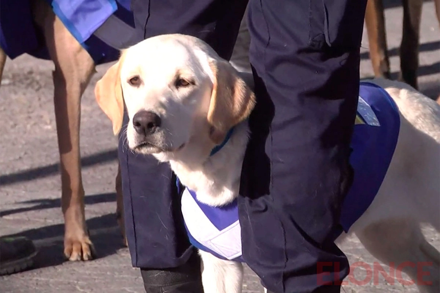 Capacitaron a nuevos binomios para fortalecer la prevenci&oacute;n del narcotr&aacute;fico en Entre R&iacute;os