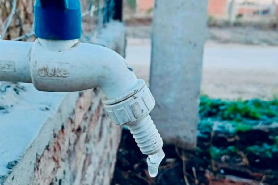 Resultado de la helada en Paran&aacute;.