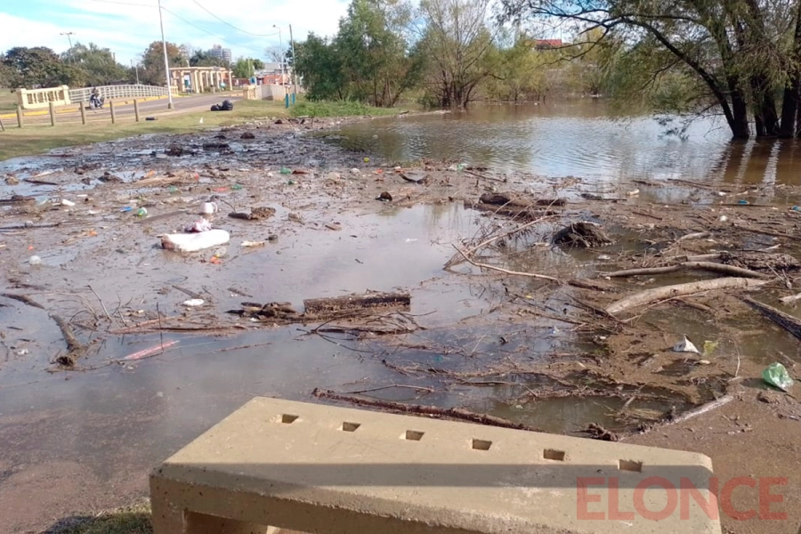 Creciente del r&iacute;o Uruguay en Concordia (foto Elonce)