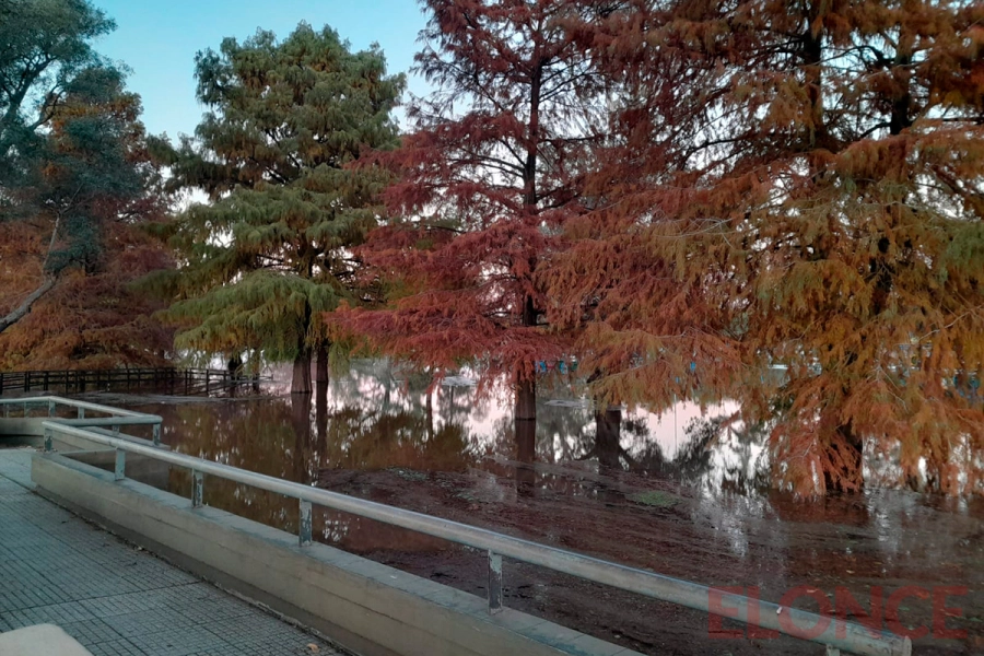 Creciente del r&iacute;o Uruguay en Concordia (foto Elonce)