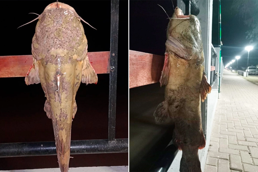 Foto: La Departamental Noticias