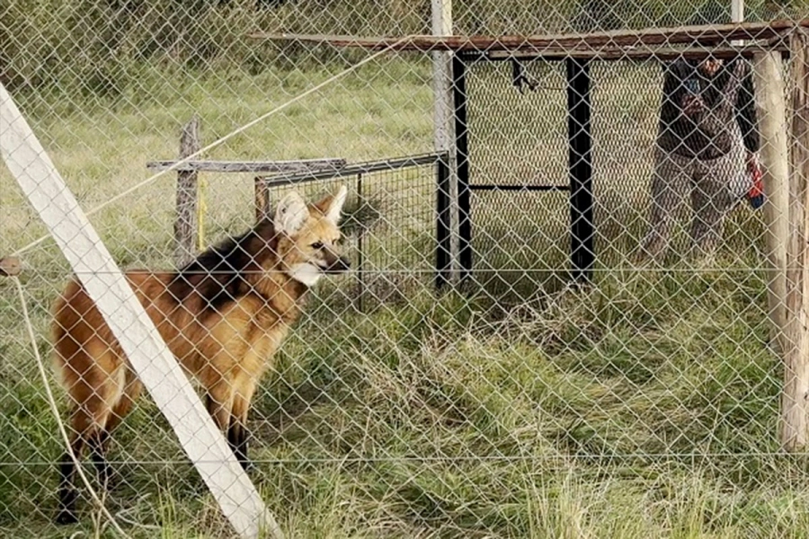 (Foto: Reserva &ldquo;El potrero&rdquo;/ERA Verde)