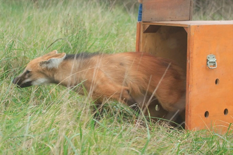 (Foto: Reserva &ldquo;El potrero&rdquo;/ERA Verde)