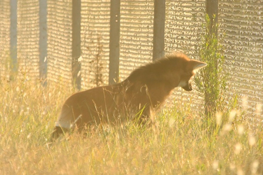 (Foto: Reserva &ldquo;El potrero&rdquo;/ERA Verde)