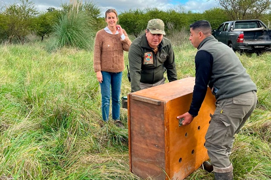 (Foto: Reserva &ldquo;El potrero&rdquo;/ERA Verde)