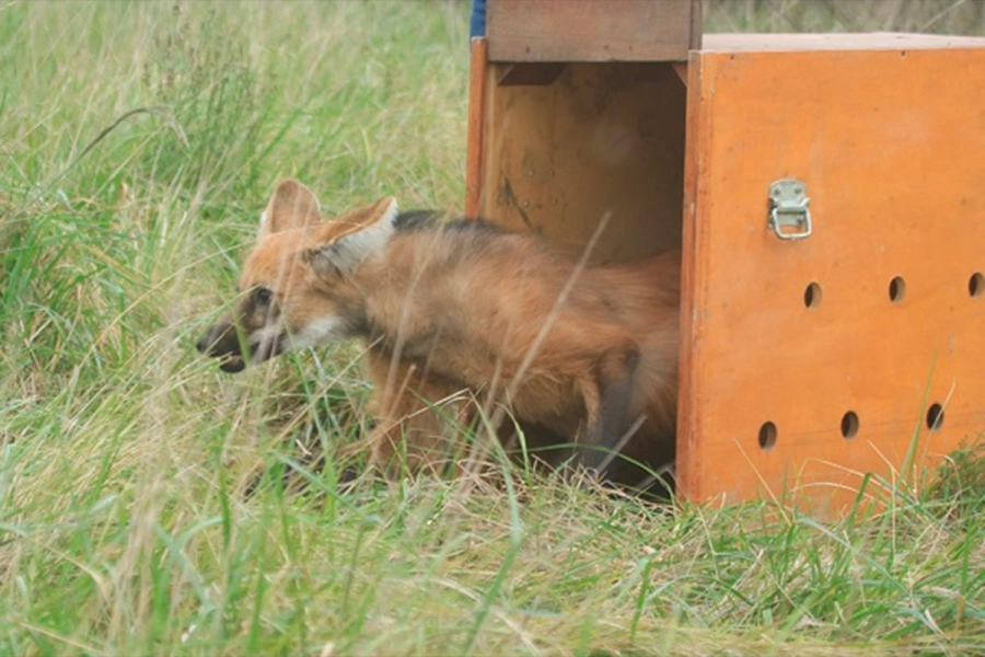 (Foto: Reserva &ldquo;El potrero&rdquo;/ERA Verde)