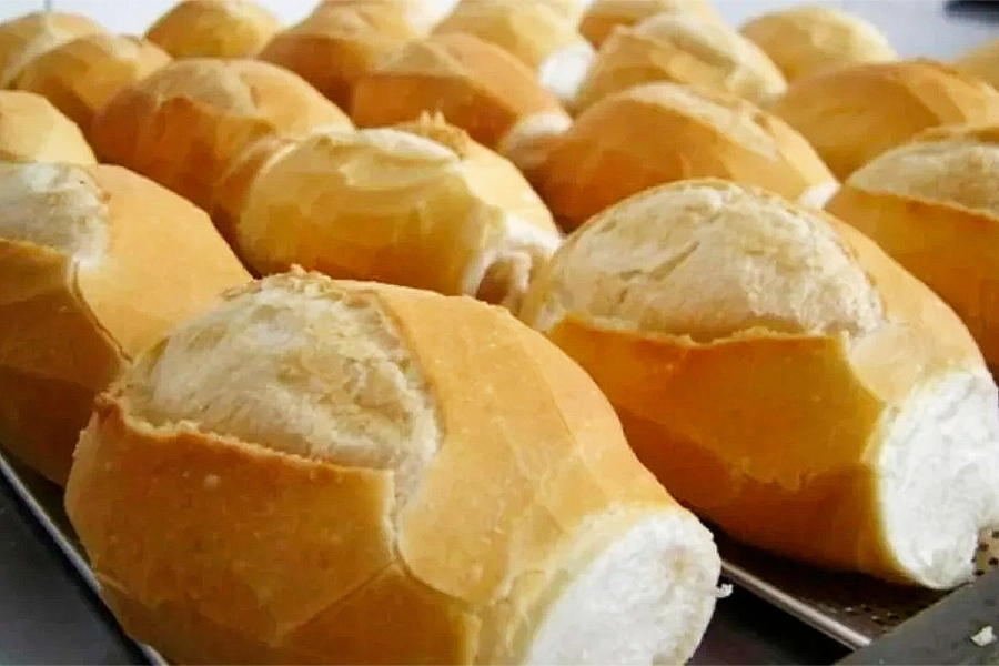 Foto: Archivo Elonce.