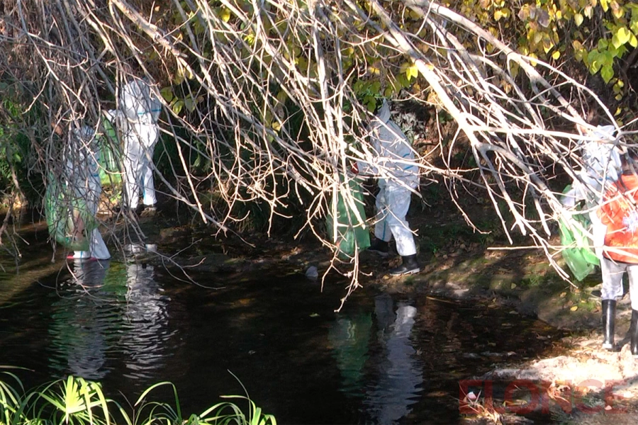 Limpieza y concientizaci&oacute;n ambiental en el arroyo Colorado