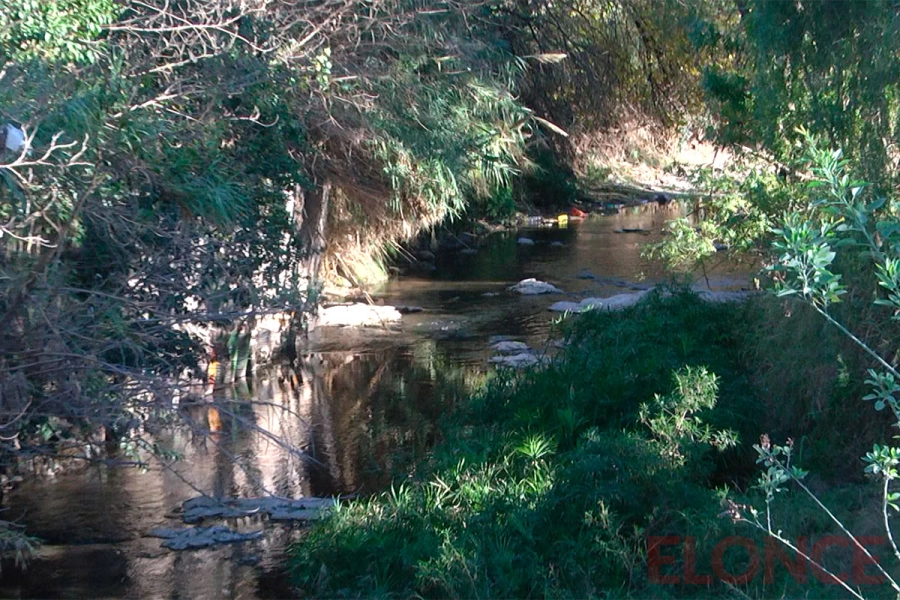 Limpieza y concientizaci&oacute;n ambiental en el arroyo Colorado