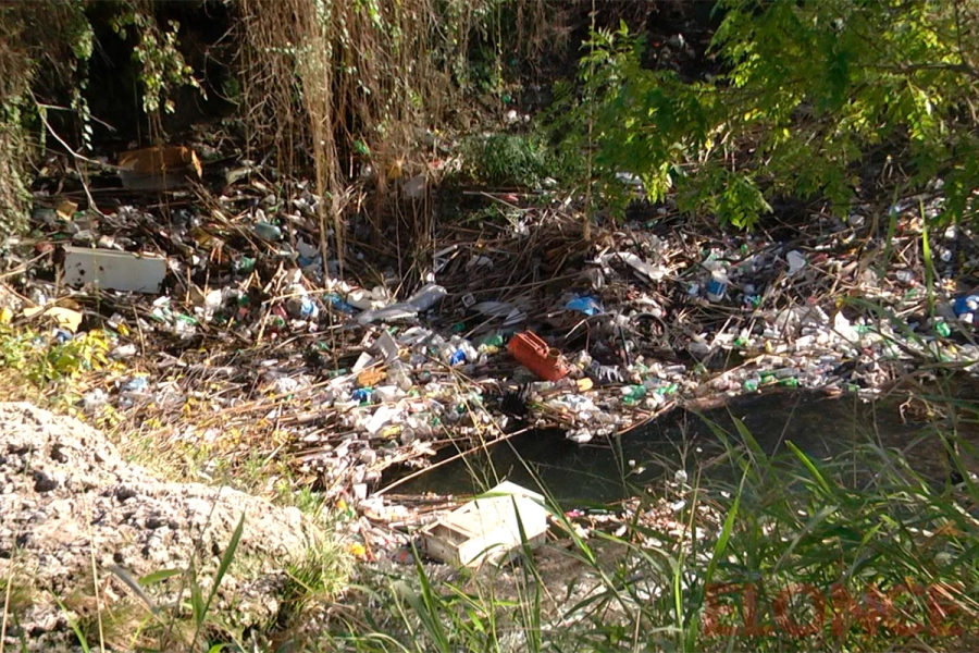Limpieza y concientizaci&oacute;n ambiental en el arroyo Colorado