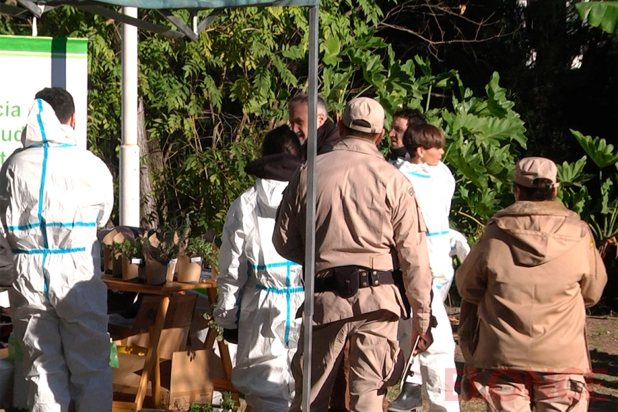 Limpieza y concientizaci&oacute;n ambiental en el arroyo Colorado