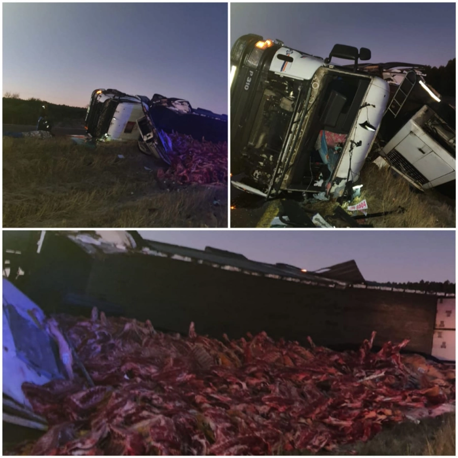 Volcó un camión y esparció su carga de reses de carne sobre la Ruta 14 (foto Policía de Entre Ríos)